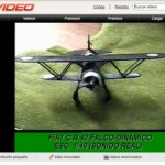 Un ejemplo de video en MegaVideo