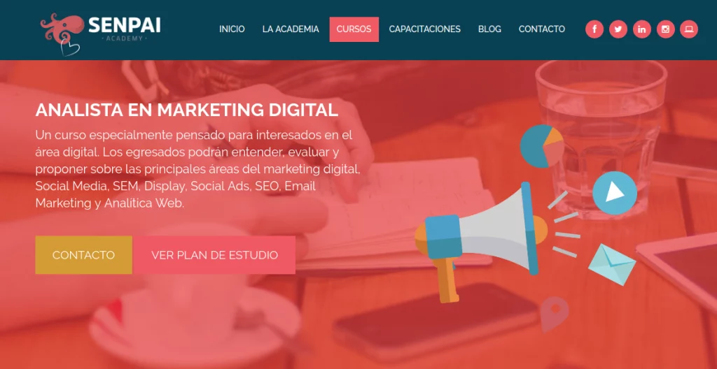 Analista en Marketing