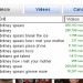 britney_spears_youtube.png