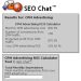 Resultados obtenidos con la herramienta de SEO Chat